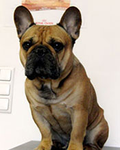 Bild 06